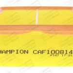 CHA CAF100814P — 000 (60132)
